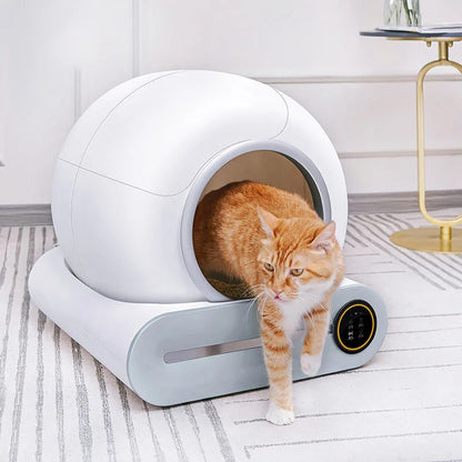 Litière, autonettoyant pour chat