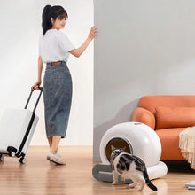 Litière autonettoyante Ti Pro dans un salon avec un chat