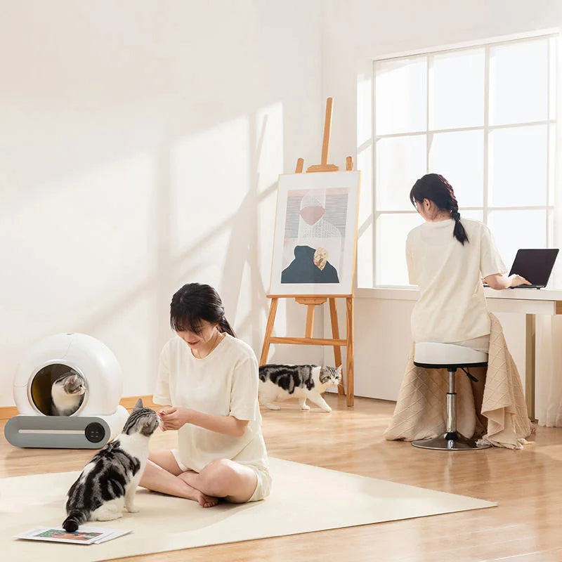 Litière autonettoyante Ti Pro dans un intérieur avec deux chats