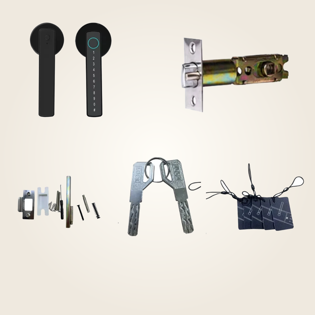 RAYKUBE M5 Tuya – poignées, loquet, clés, cartes et kit de montage