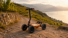 Ride & Wine — VEE-HOP 4x4 dans les vignobles de La Côte au coucher du soleil